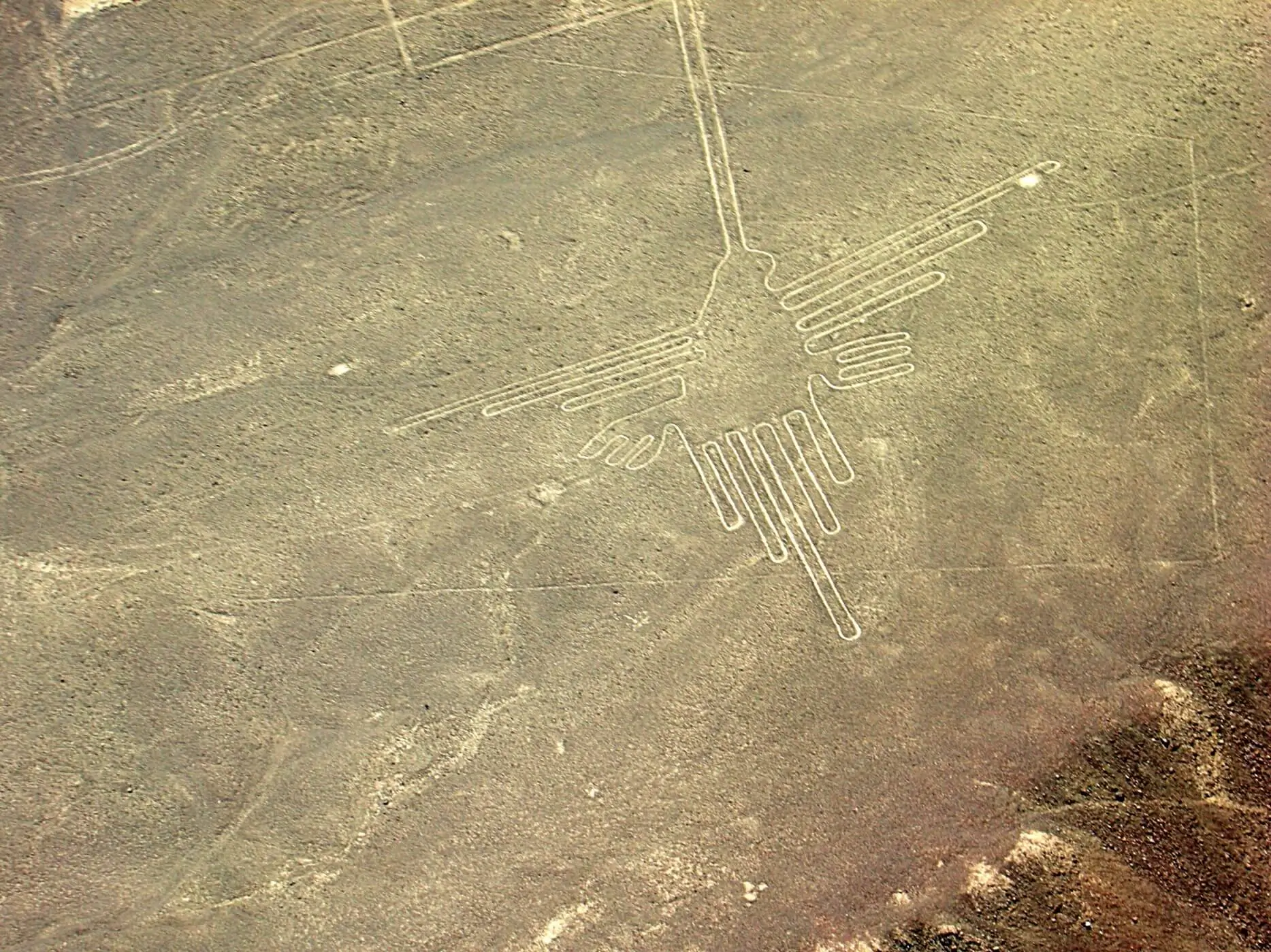 nazca lines nazca